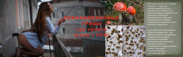 мяу мяу мука Алексеевка