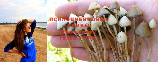 мяу мяу мука Алексеевка