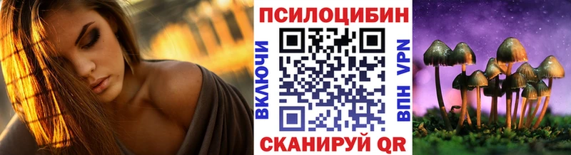 блэк спрут ссылки  Грязовец  Галлюциногенные грибы GOLDEN TEACHER 